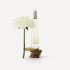MIYAKE L DISSEY X100 EDT SET 
