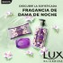 LUX JABON LIQUIDO GLICERINA DP X220 DAMA DE NOCHE