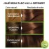 NUTRISSE KIT 55 AVELLANA