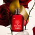 AMOR AMOR EDP X100 ML 