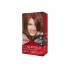 COLORSILK TINTURA KIT 51 CASTAÑO CLARO