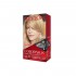 COLORSILK TINTURA KIT 81 RUBIO CLARO