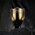 INVICTUS EDP X100 ELIXIR 