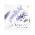 DOVE ALL BODY DEO EN CREMA LAVANDER X75G.