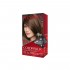 COLORSILK TINTURA KIT 41 CASTAÑO MEDIO