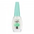 COLORAMA ESMALTE NUTRI BASE DEBIL.