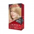 COLORSILK TINTURA KIT 81 RUBIO CLARO