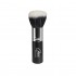 AREX BROCHA POLVO CON ESTUCHE 