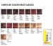 Tintura Issue x 12 Colores a eleccion