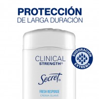SECRET DEO EN BARRA FRESH X45G. 