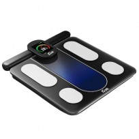 ICARE BALANZA PROFESIONAL INTEGRAL 