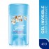 SECRET DEO EN BARRA GEL COTTON X45