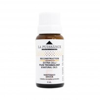 LA PUISSANCE AMPOLLA RECONSTRUCCION X 15 ML 