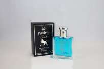 PAULVIC X50 BLUE FOR MEN
