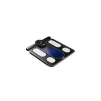 ICARE BALANZA PROFESIONAL INTEGRAL 
