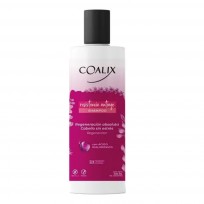 COALIX SHAMPOO RESISTENCIA ANTIAGE X 400 ML 