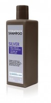 STRATEGY SHAMPOO SILVER X300ML