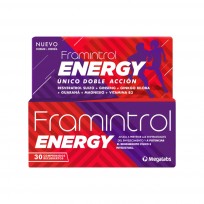 FRAMINTROL ENERGY COMP X 30