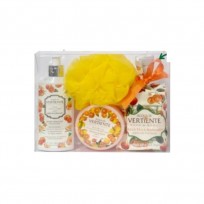 VERTIENTE ESTUCHE CRISTAL CITRUS  