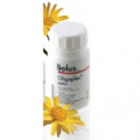 BOLUS ANTISEPTICO FRASCO POLVO X 50GRS