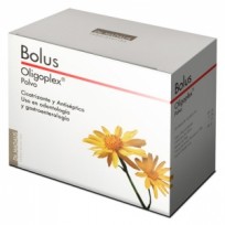 BOLUS ANTISEPTICO POLVO X 50 G