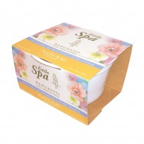 SPA CERA DEPILATORIA POTE X200 NATURAL