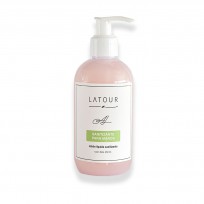 A.L.SANITIZANTE DE MANOS X250