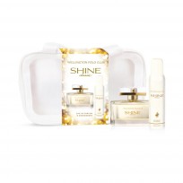 WELLINGTON SHINE CLASSIC X90 + DEO 