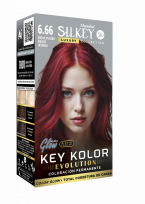 SILKEY KIT EVOLUTION 666      