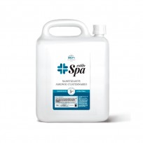 SPA SANITIZANTE AMONIO X5L.   