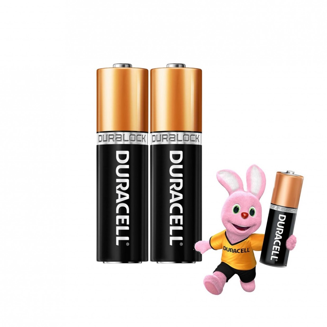 DURACELL PILA ALCALINA AA X2 . Tienda Online Anika Farmacia y